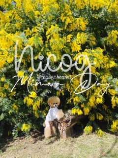 �����ƃ����b�����b�ȃ~���U�Ȃ�