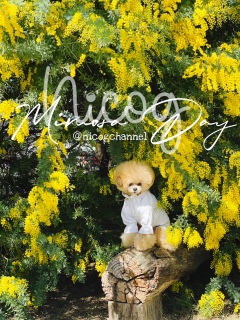 �^�����F�~���U