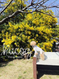 ����ȕ��L�x���`�������I