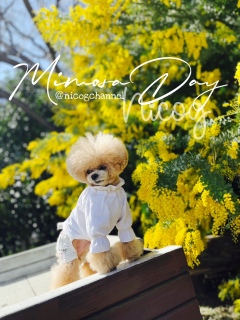 �g������̏�肭�Ȃ��Ă�H