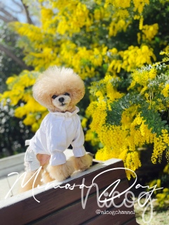 �g�����I