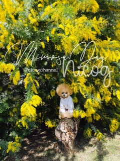 �������e���Ă��O���邱�Ƃ��Ȃ�