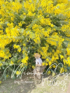 ���̃�����������͍ō��Ȃ́[