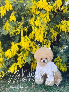 ����σj�R�W���Ăނ�����Ɍ������ˁH