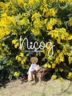 ���낻�뎟�Ɉڂ肽���c