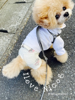 ���̐_���Ă邨��I