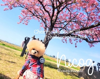 ���p�p���B�����j�R�W