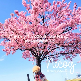 �͒Í��͈�x�������ɍs�����c