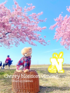 �����������ĂȂ��Ƃ��ǂ��̂ł���[