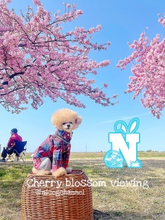 ��[���킢���I