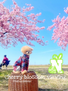 �����C�����悩�����ˁI