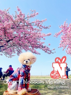 ���C�`�ɍs���Ȃ������̂ł����l�����Ă鎞�Ԃ�ŁI