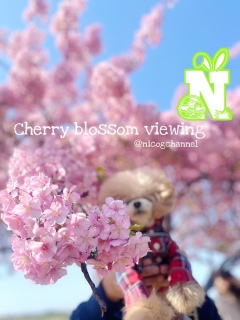 �͒Í��ɖ������j�R�W�܂�