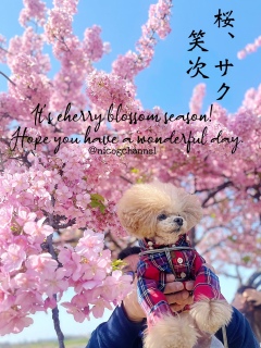 ����Ȃɓ��e�ł��Ȃ��������ǌ㐔���Ԋ撣�邼�I