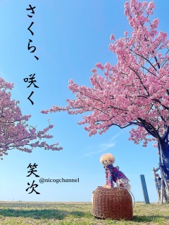 ���܂��ܐl���؂ꂽ�c