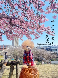 �l����܂���ł����c