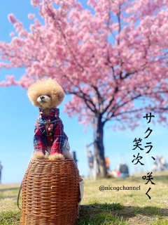 ���J�͒Í��I