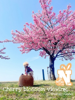 ��1���I�͂��I�����s���܁[��