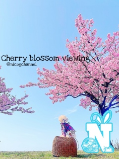 ���������j�R�W�܂�