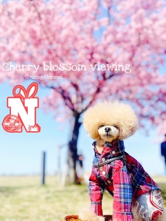 �|�����|�����j�R�W