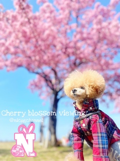 �L�������Ƃ��������Ă��ꂽ��ō��Ȃ̂Ɂc