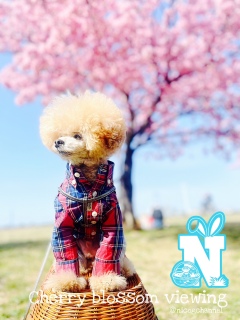 �����킽�����O���Ă����c