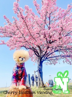 ��������������c