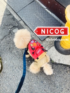 ���������i�b�v�T�b�N