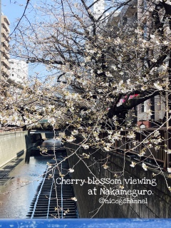 �����`��͖ڍ����