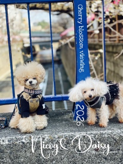 �����Ƃ����肵�Ă�I��K�����ɋ������j�R�W