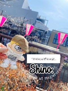 �V�m�����������낤�Ȃ�