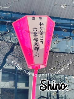 ���̊��͎ˑ�P