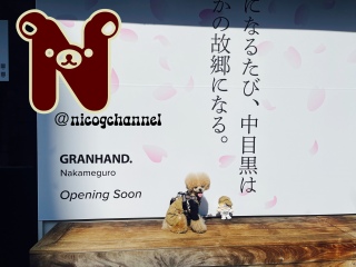 �j�R�����ƃV�m�ʂ�