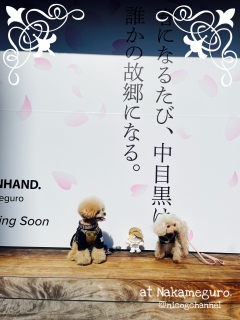 ���������ā[�Ƃ�����Ȃ��Ă������Ȃ��[