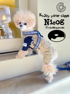 �����{�T�{�T�̂܂܎ʐ^�B���Ă��܂����c