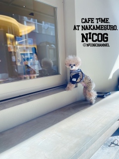 ������ƈ����āc