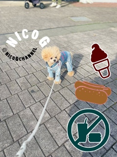 ������̂��U���j�R�W