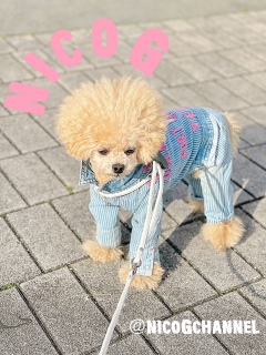 �Ӑ}�������Ă��[��[�����I�[�_�[���Ă܂����ˁ[