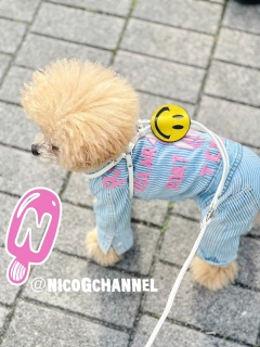 ���w���̎h�J�������ō��ɍD��