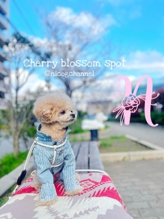 �Ƃ̋߂��̍��n��