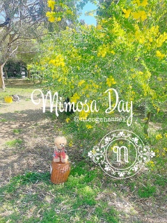 ���J�ł͂Ȃ����ǂ��Ȃ�炢�Ă܂����I