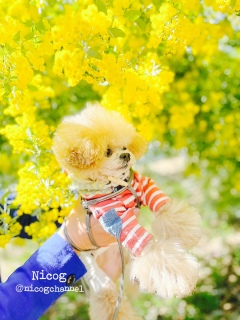 ���������Ă����Z�͂Ȃ��̂�����H