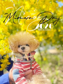 ��[�߂���������I