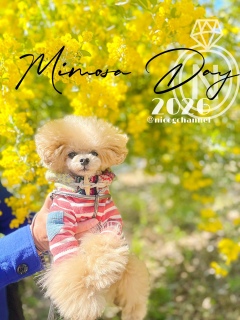 �~���U�̍��̋C�����D�����ȁ[