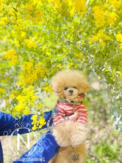 ��D����ŁI