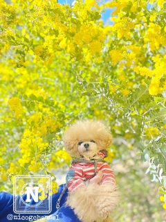 ���N�͂����Ǝ}������Ă��炢���Ȃ�