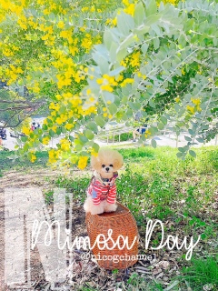 �^���������Ă���邻�̖ڂ���������