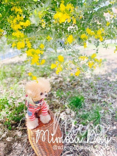 ���ŎB�銴���̗΂̓������D�݂Ȃ́[