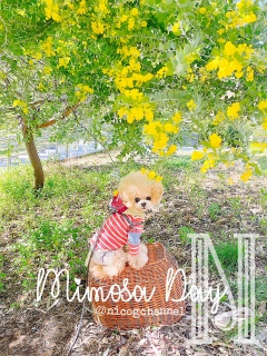 �L���b�ƃ}�}���Ă�̂�H