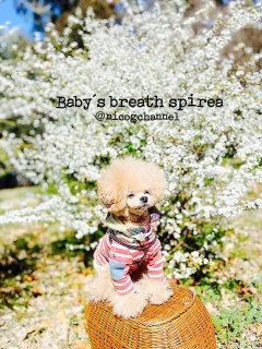 ���L���i�M��